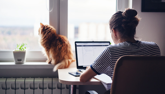 Woman with cat on laptop
